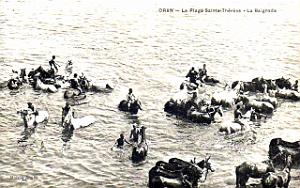 Oran - Port - Plage Sainte-Therese - Baignade